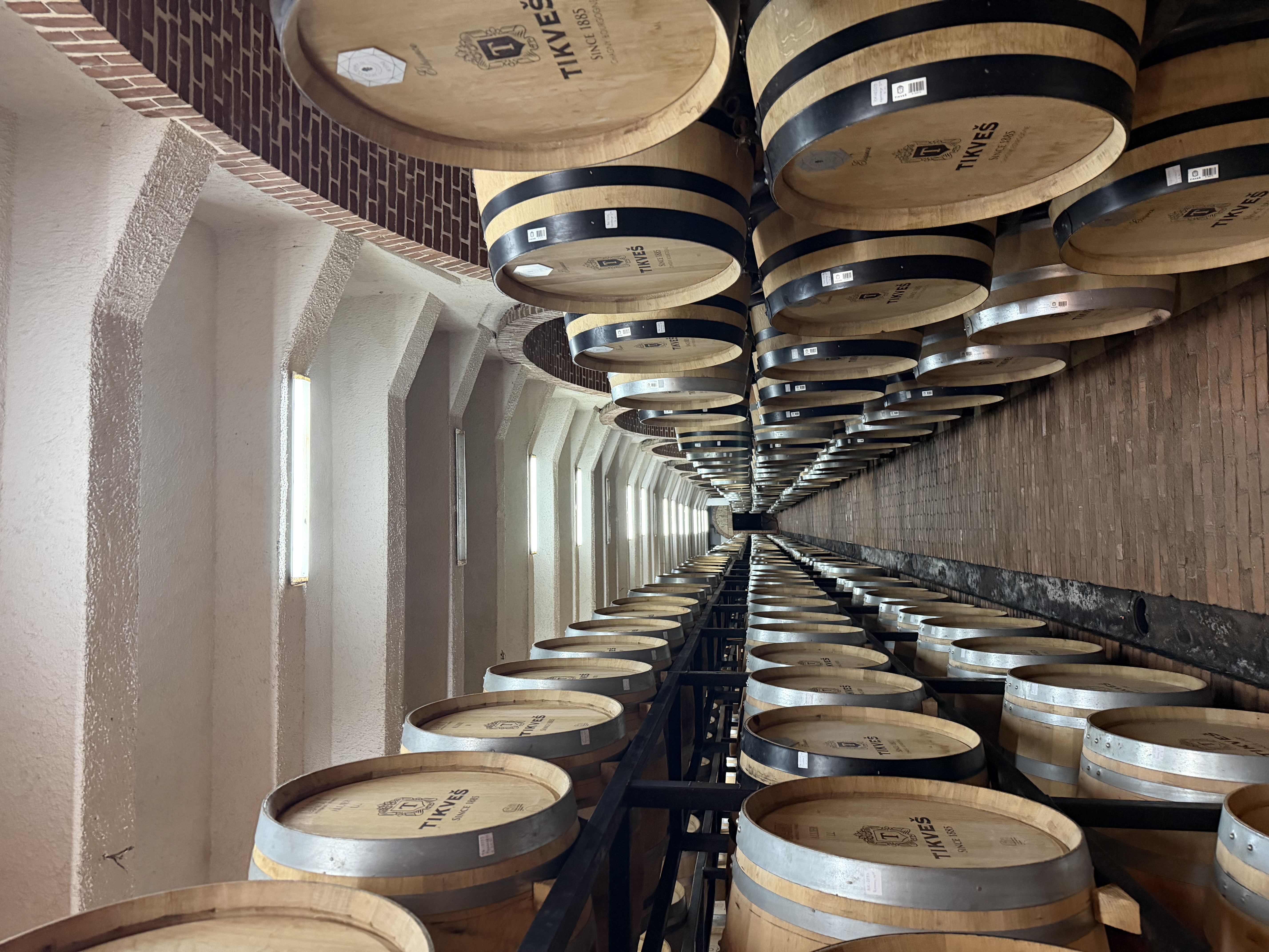 Sneak Peek at Tikves photo